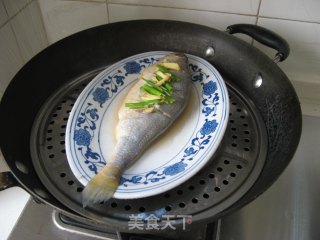 海鲜篇——蒸出来的美味之【清蒸黄花鱼】的做法步骤：6