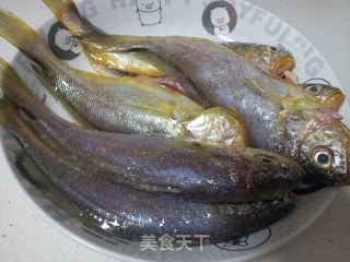 香煎野生黄花鱼的做法步骤：1