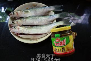 黄豆酱焖乌头鱼的做法步骤：1