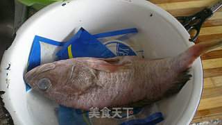 清蒸石斑鱼的做法步骤：1