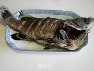 清蒸石斑鱼的做法步骤：8