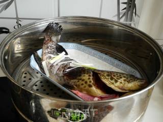 蒜香石斑鱼的做法步骤：4
