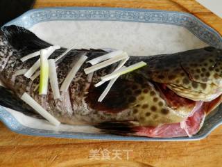 蒜香石斑鱼的做法步骤：3