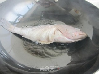 茄汁石斑鱼的做法步骤：4