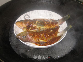 【创意新派菜】味增蒸石斑鱼的做法步骤：4