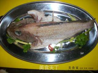 家常菜肴@@豆腐蒸石斑鱼的做法步骤：2