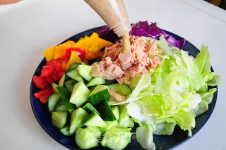 金枪鱼蔬菜沙拉的做法步骤：5
