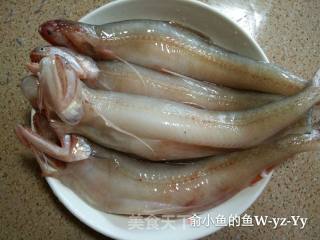 东海小白龙豆腐鱼 的做法步骤：1