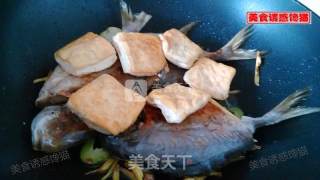 金昌鱼焖豆腐的做法步骤：8
