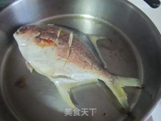泡椒金鲳鱼的做法步骤：4