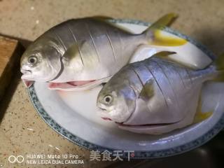 潮汕豆酱蒸金鲳鱼的做法步骤：1
