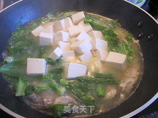 芥菜豆腐汤的做法步骤：7
