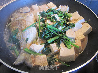 煎海鱼焖豆腐的做法步骤：7