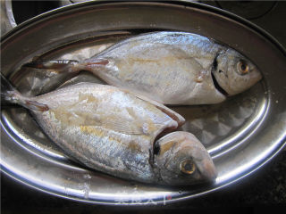 黄豆酱煎海鱼的做法步骤：1