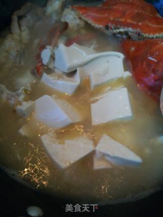螃蟹煲豆腐的做法步骤：4