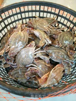 东海野生梭子蟹，螃蟹炒年糕的做法步骤：9