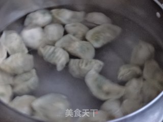 蟹肉韭菜馅水饺的做法步骤：11