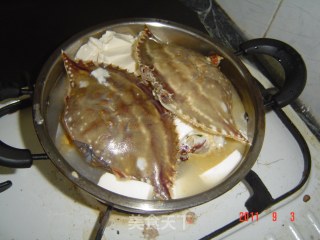 豆腐蟹煲的做法步骤：5
