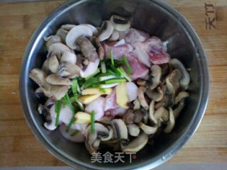 鲜蘑猪肉馄饨的做法步骤：5
