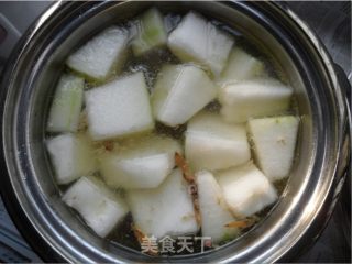 冬瓜虾米猪骨汤的做法步骤：6