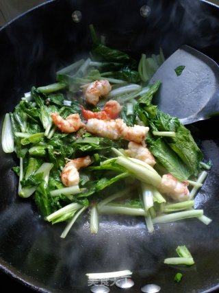 小白菜烧虾的做法步骤：8