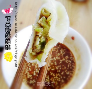 葫芦瓜虾米蒸饺的做法步骤：8