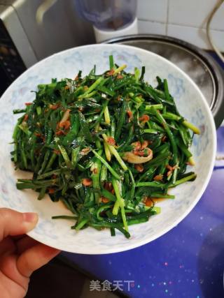 超简单的韭菜炒虾米，非常下饭的做法步骤：5