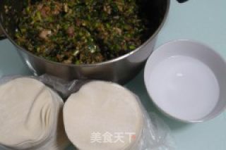 韭菜猪肉水饺的做法步骤：7