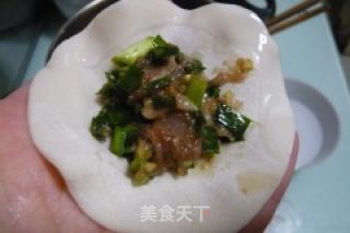 韭菜猪肉水饺的做法步骤：8
