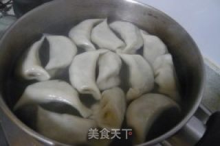 韭菜猪肉水饺的做法步骤：10