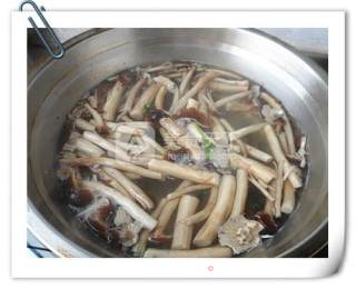 干锅茶树虾的做法步骤：4