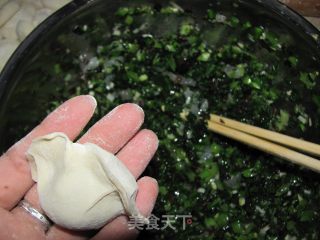 口味清淡的油菜虾仁水饺的做法步骤：7