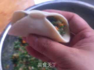 虾仁饺子的做法步骤：13