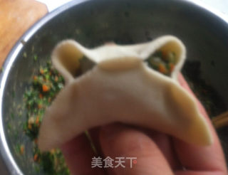 虾仁饺子的做法步骤：15