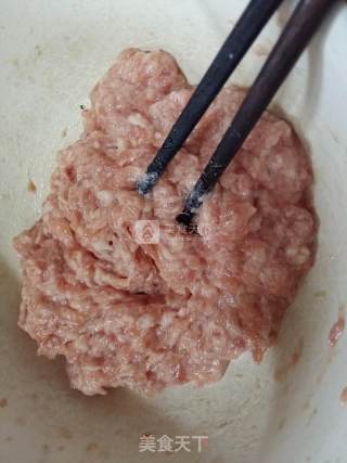 紫菜虾皮鲜肉馄饨的做法步骤：2