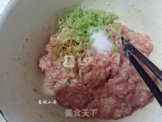 紫菜虾皮鲜肉馄饨的做法步骤：3