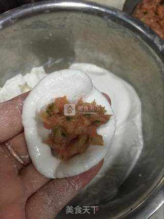 紫菜虾皮鲜肉汤圆的做法步骤：3