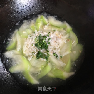 瓠子虾皮汤的做法步骤：9