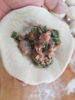 韭菜虾仁猪肉包子的做法步骤：11