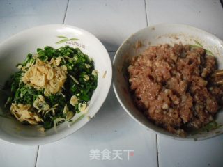韭菜鲜肉饺子的做法步骤：4