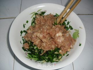 韭菜鲜肉饺子的做法步骤：5
