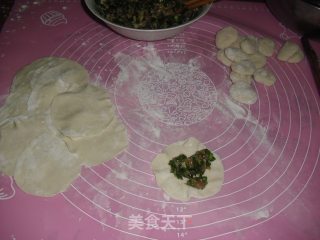 韭菜鲜肉饺子的做法步骤：6
