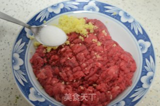 酸汤牛肉水饺的做法步骤：10