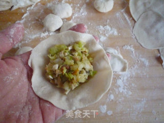 白菜香干素蒸饺的做法步骤：10