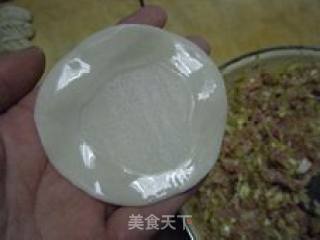 圆白菜鲜肉紫菜水饺的做法步骤：7