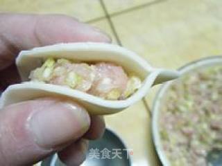 圆白菜鲜肉紫菜水饺的做法步骤：9