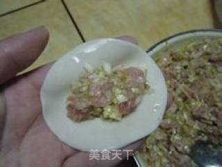 圆白菜鲜肉紫菜水饺的做法步骤：8