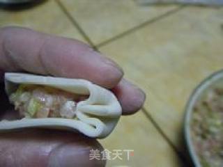 圆白菜鲜肉紫菜水饺的做法步骤：10