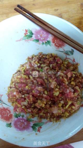 白菜虾仁水饺的做法步骤：5