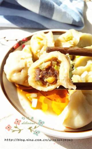 白菜虾仁水饺的做法步骤：17